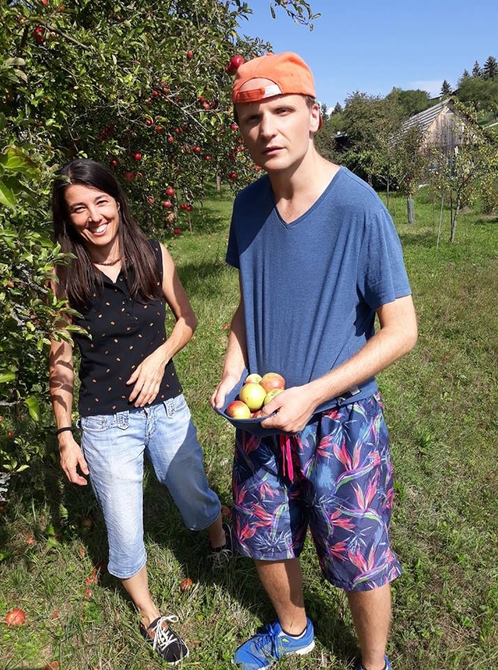 V sade dozreli jabĺčka